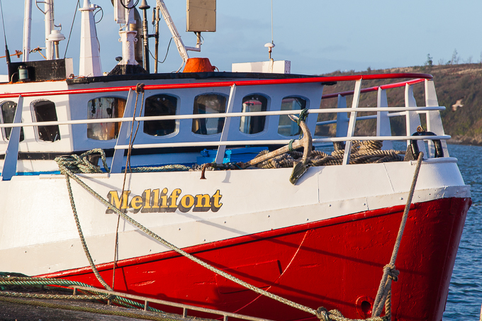 Ireland Nov 2015 (16)